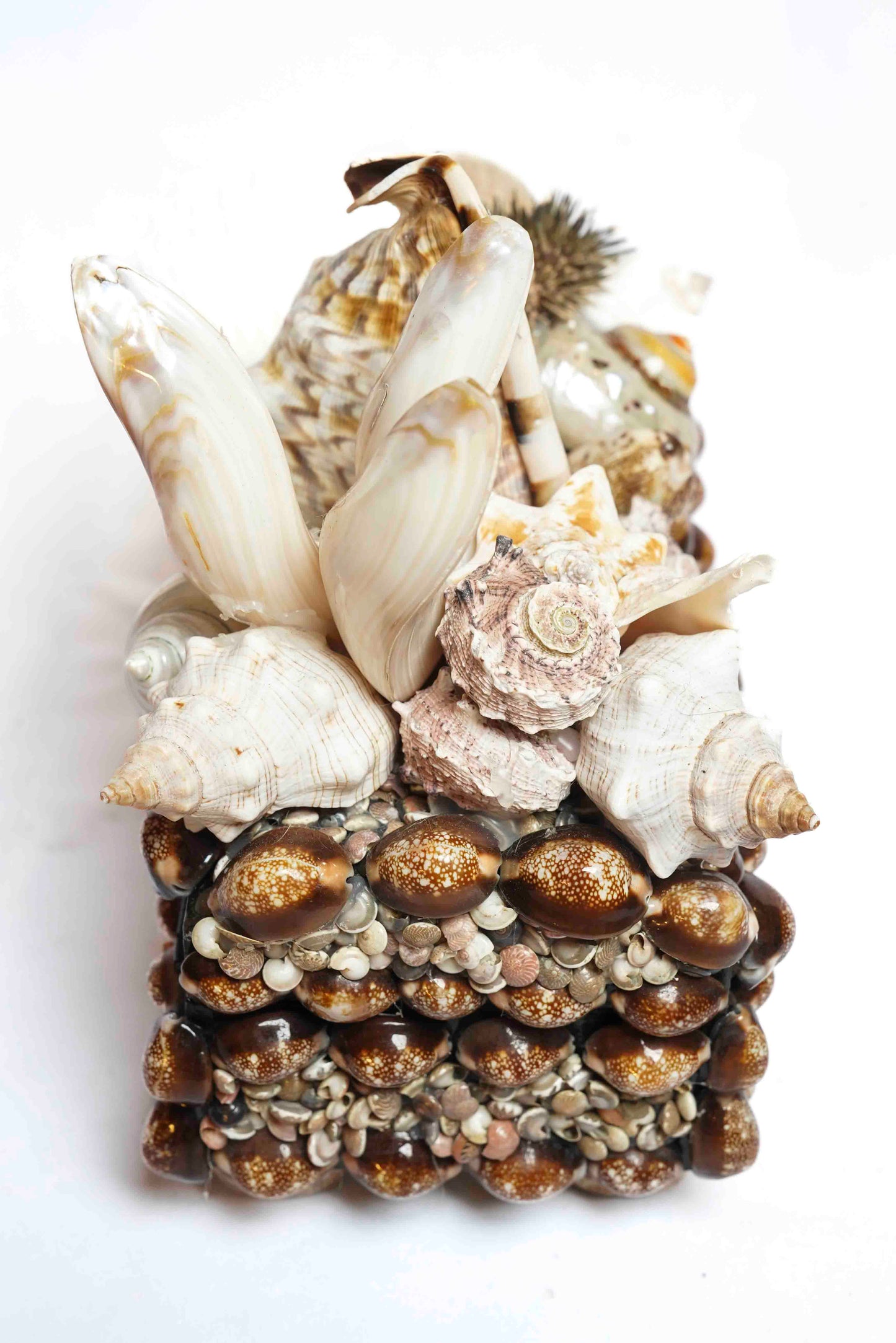 Sea Urchin Shell Box
