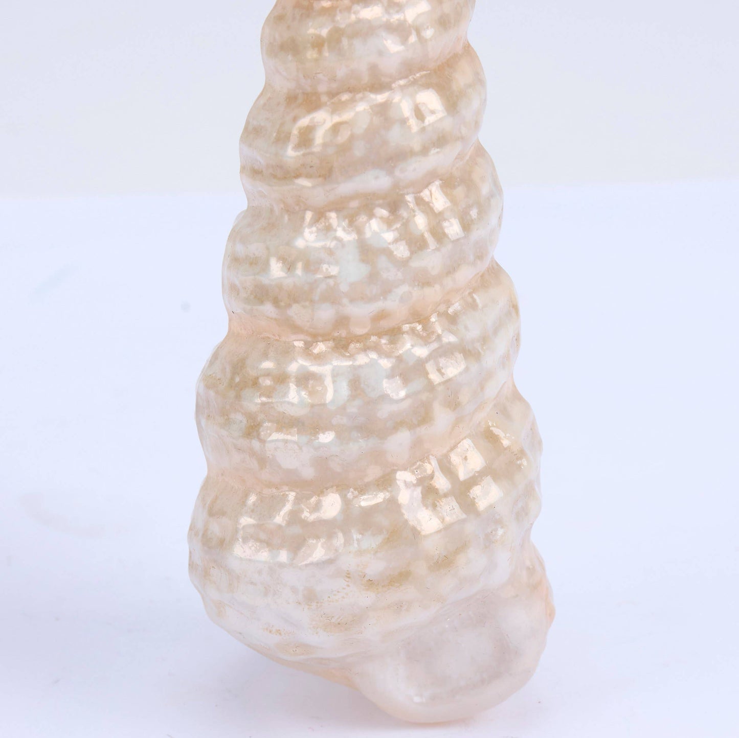 Cone Shell Glass Ornament