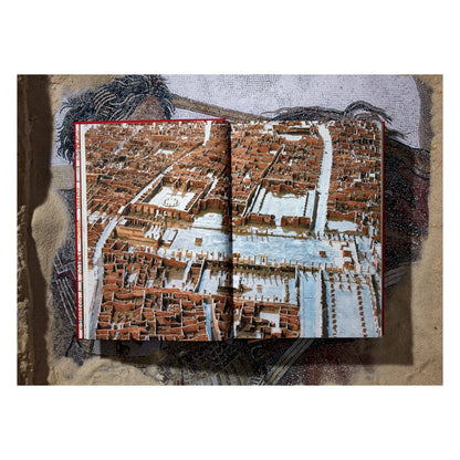 Fausto & Felice Niccolini. Houses and Monuments of Pompeii (German, French, English)