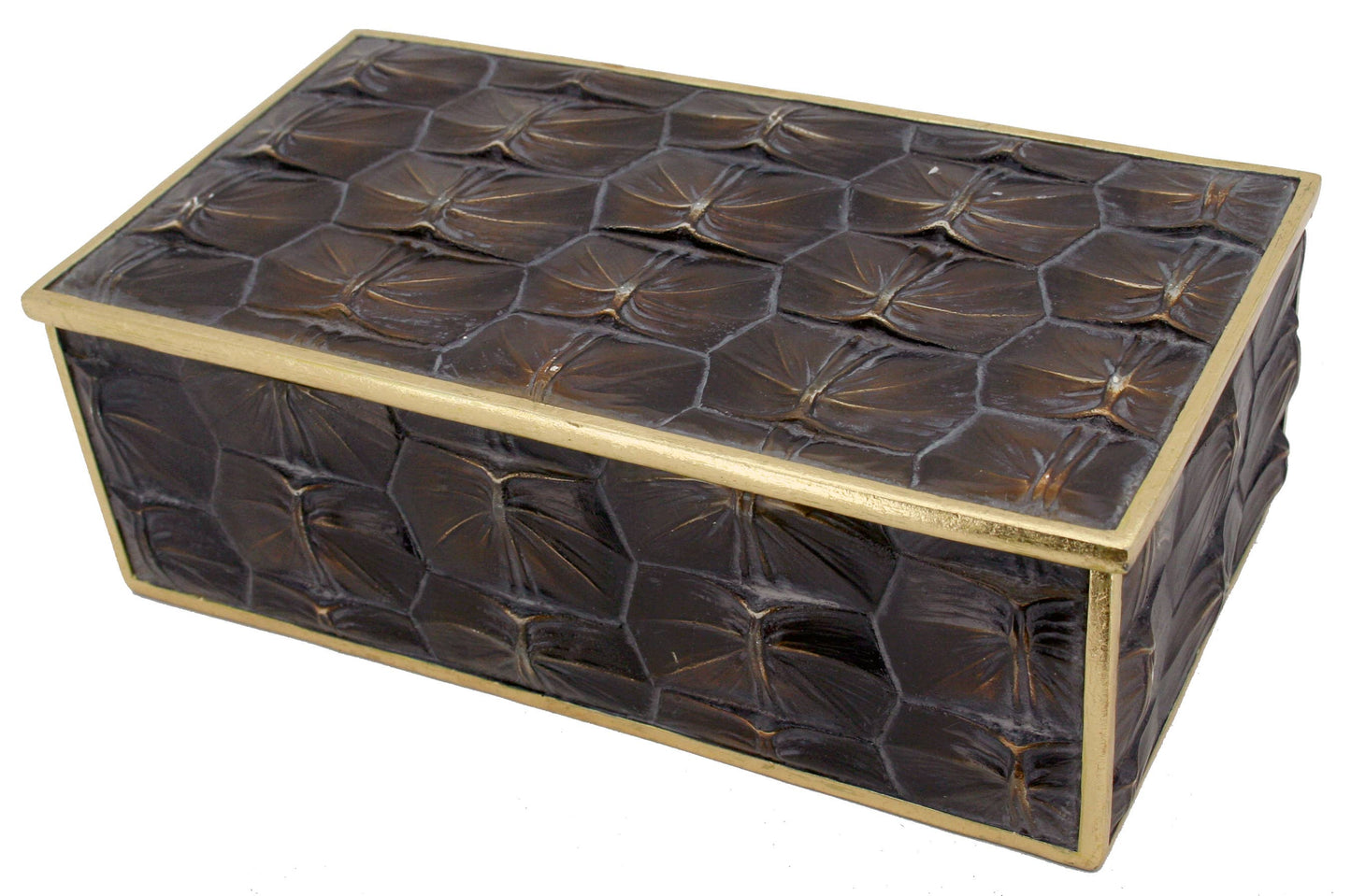 Long Snapping Turtle Shell Box