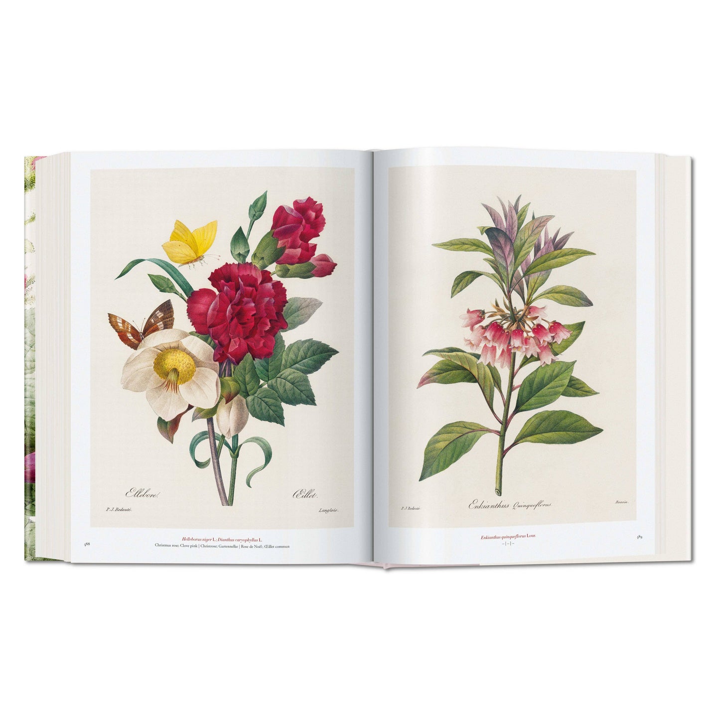 Redouté. The Book of Flowers (German, French, English)