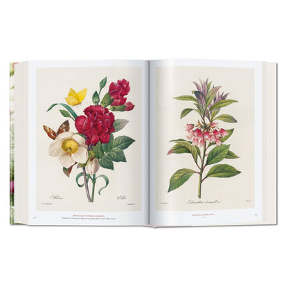 Redouté. The Book of Flowers (German, French, English)