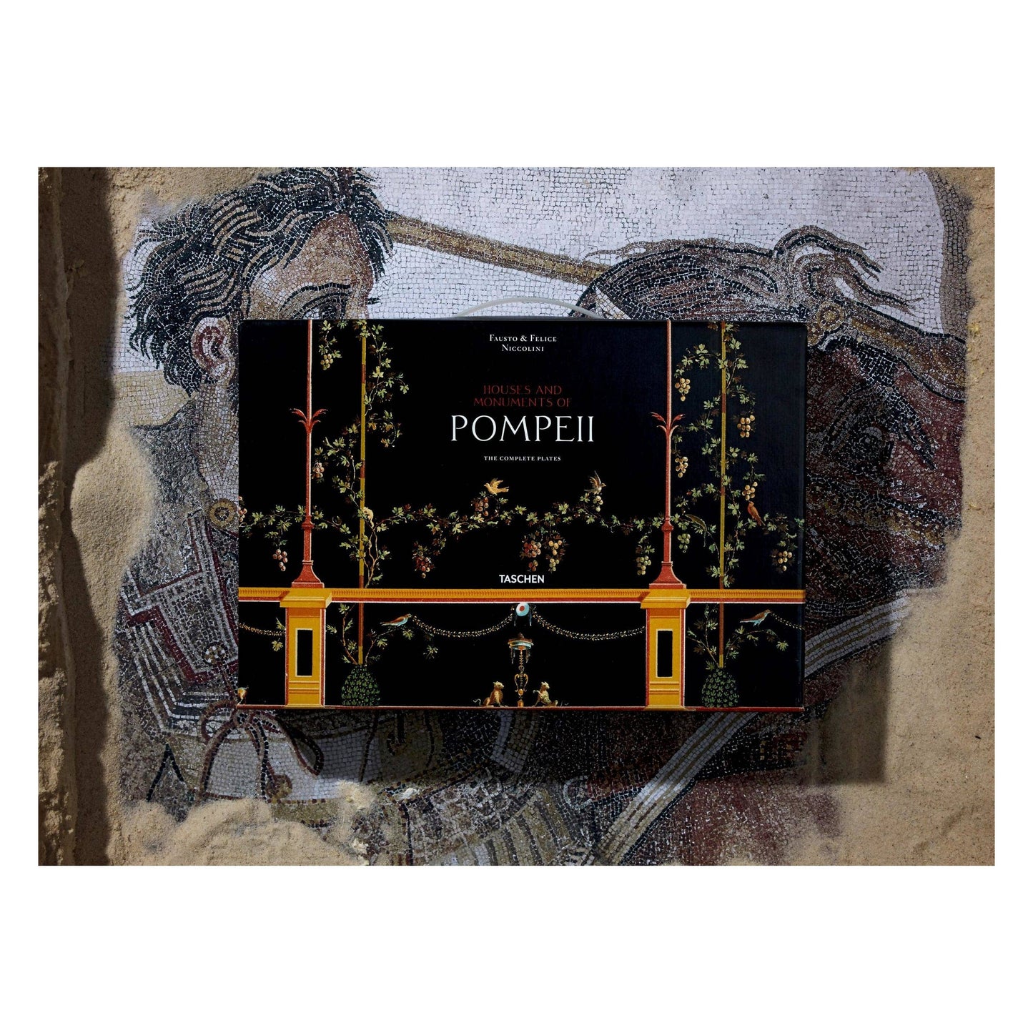 Fausto & Felice Niccolini. Houses and Monuments of Pompeii (German, French, English)