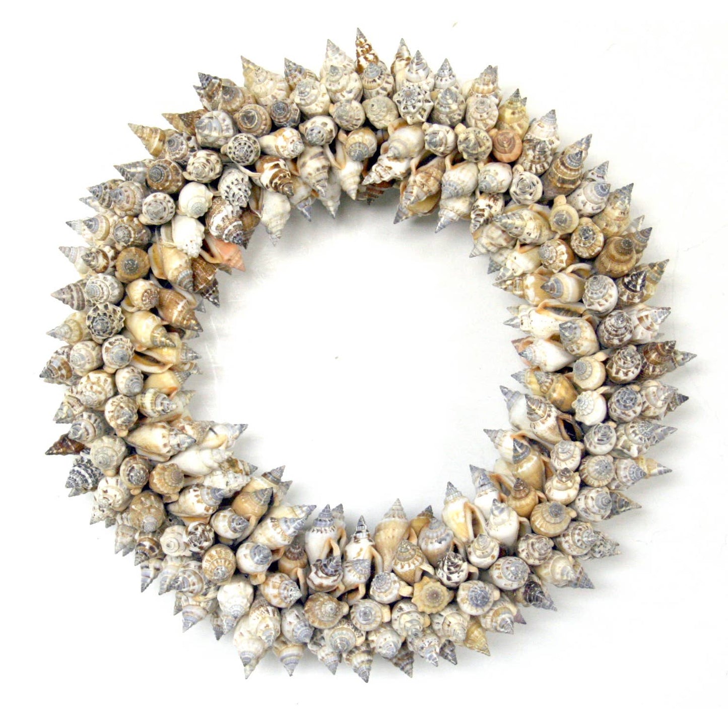 Urceus Shell Wreath: Small