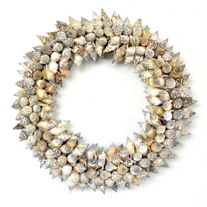 Urceus Shell Wreath: Small