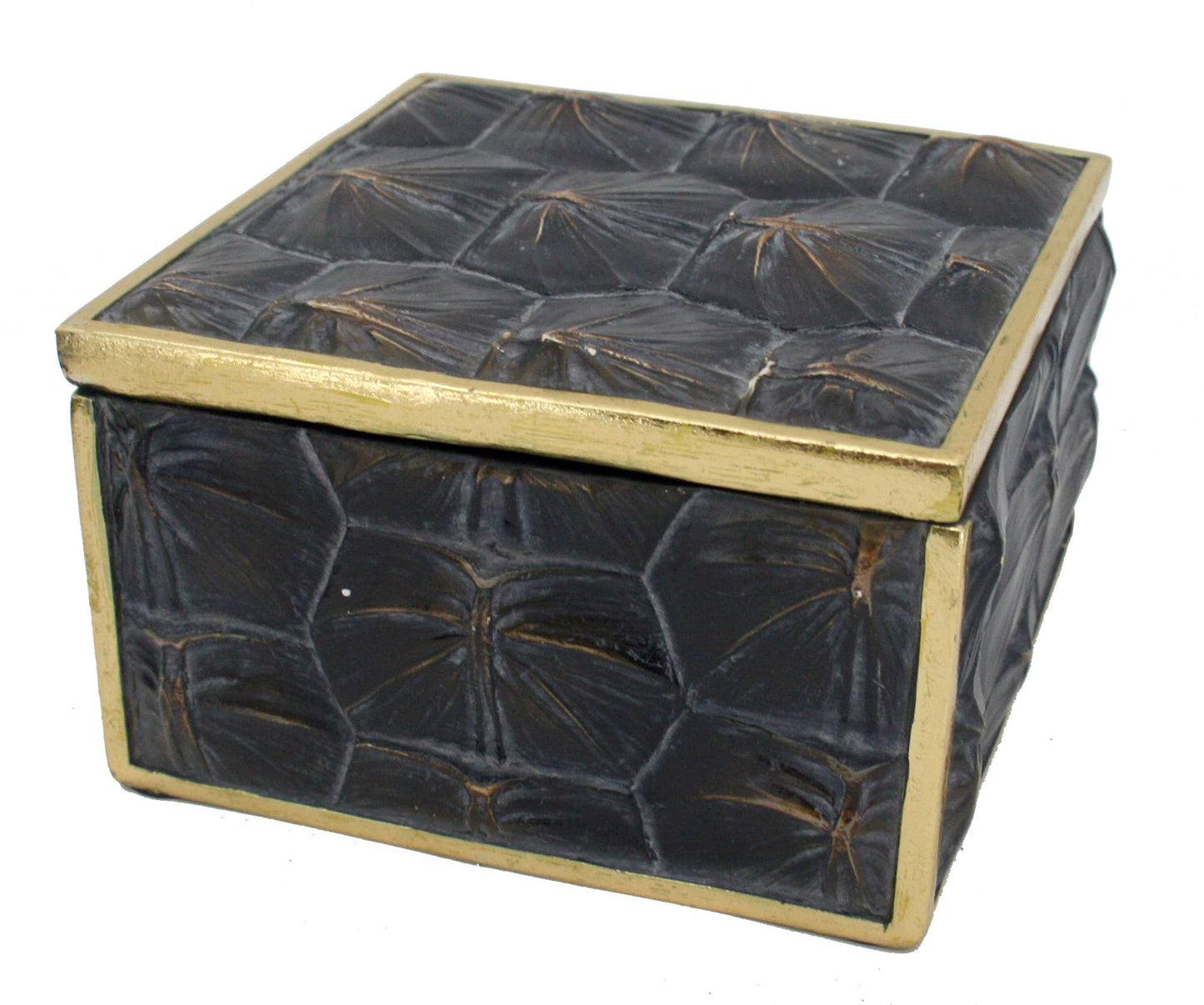 Snapping Turtle Shell Box