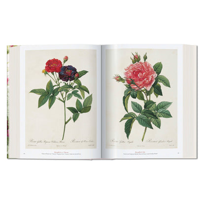 Redouté. The Book of Flowers (German, French, English)