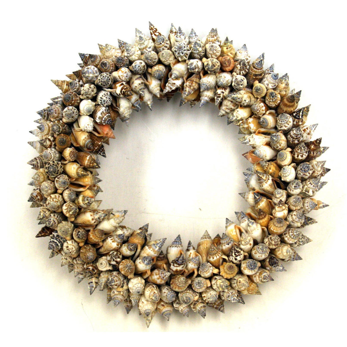 Shell Weath Urceus Shell Wreath: Small – Dunn and Sonnier