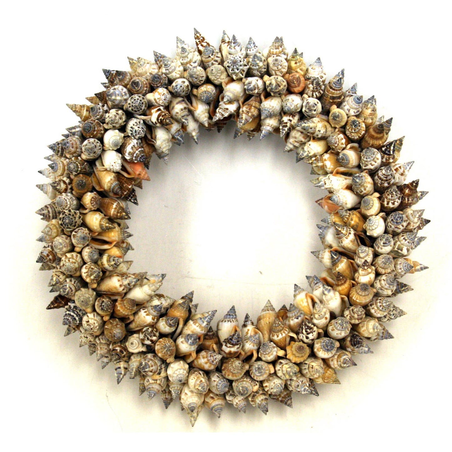 Urceus Shell Wreath: Small
