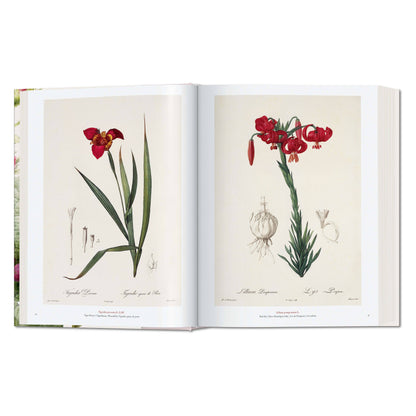 Redouté. The Book of Flowers (German, French, English)