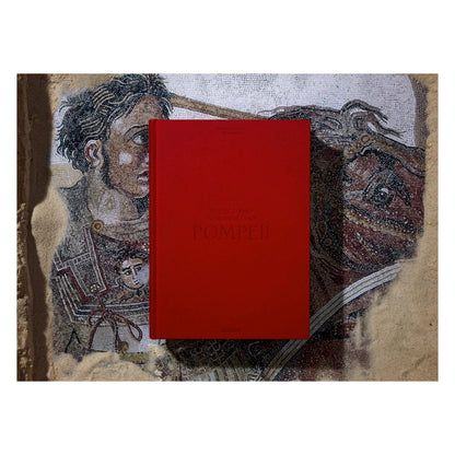 Fausto & Felice Niccolini. Houses and Monuments of Pompeii (German, French, English)