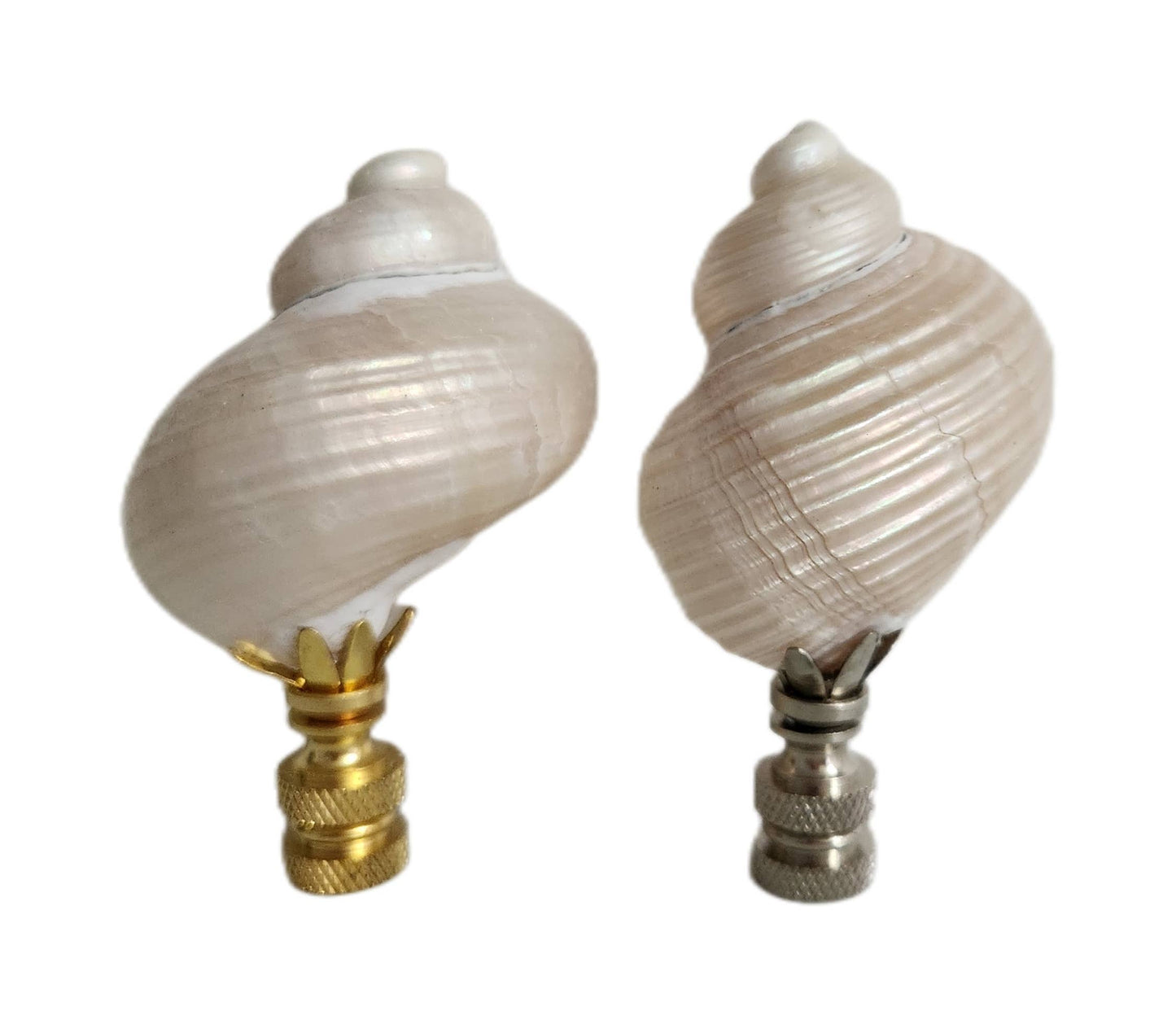 Pair, Turbo Pearl Setosus Sea Shell Lamp Finial, Set of 2: Brass