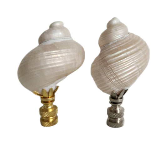 Pair, Turbo Pearl Setosus Sea Shell Lamp Finial, Set of 2: Brass