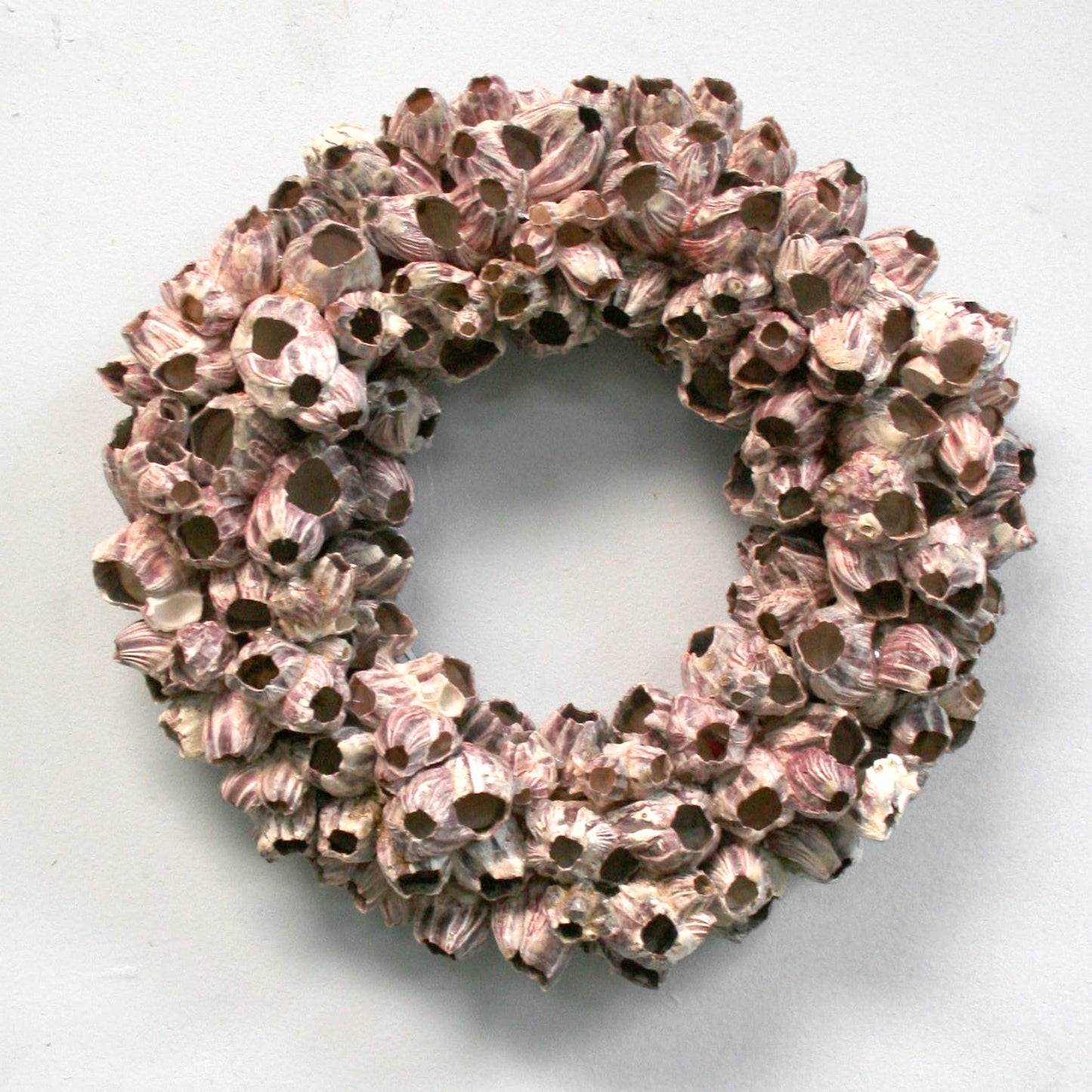 Barnacles Natural Wreath