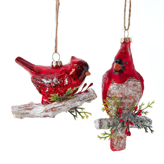 4.25-5.5"GLASS RED CARDINAL ORN 2/A