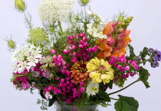 Small Wild Flowers