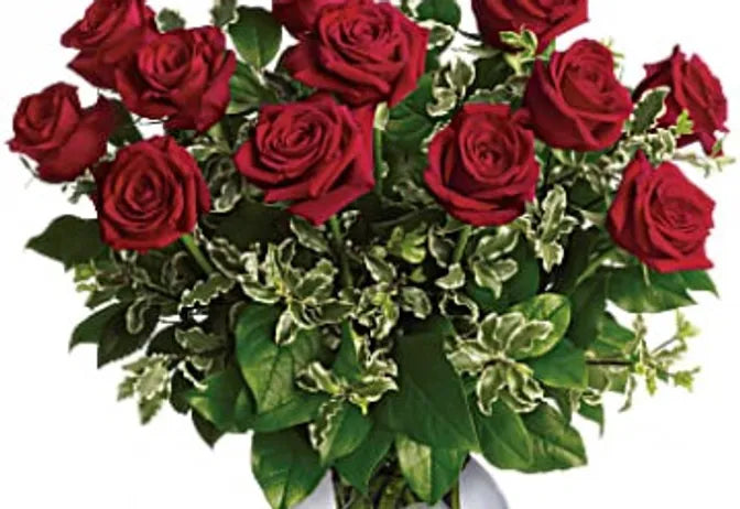 Dozen Roses (Specify Color)