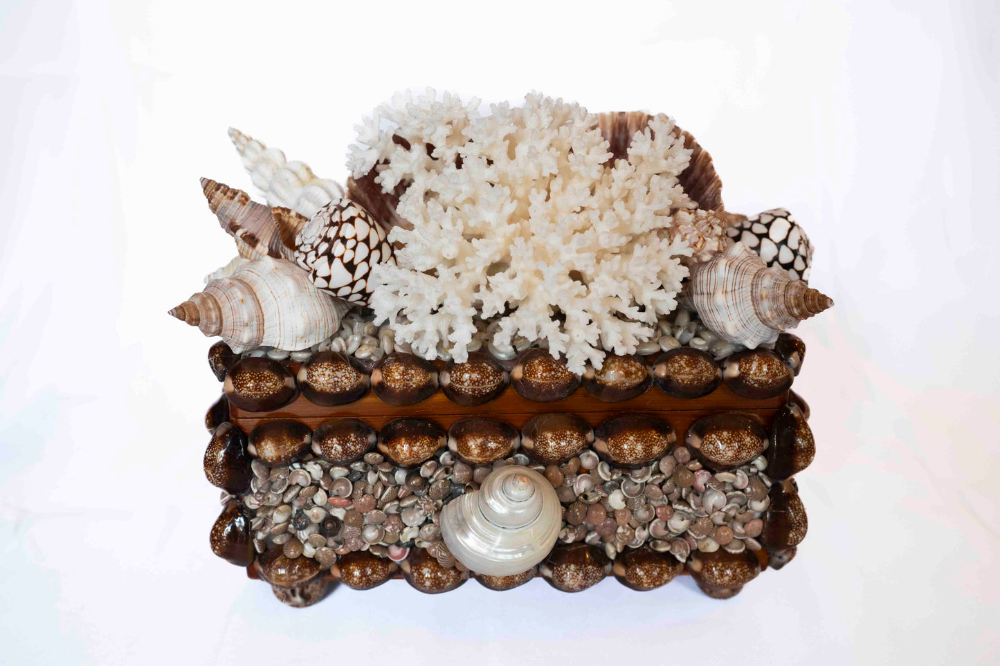 Shell Box Artist Made Small