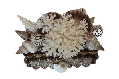 Shell Box Artist Made Small