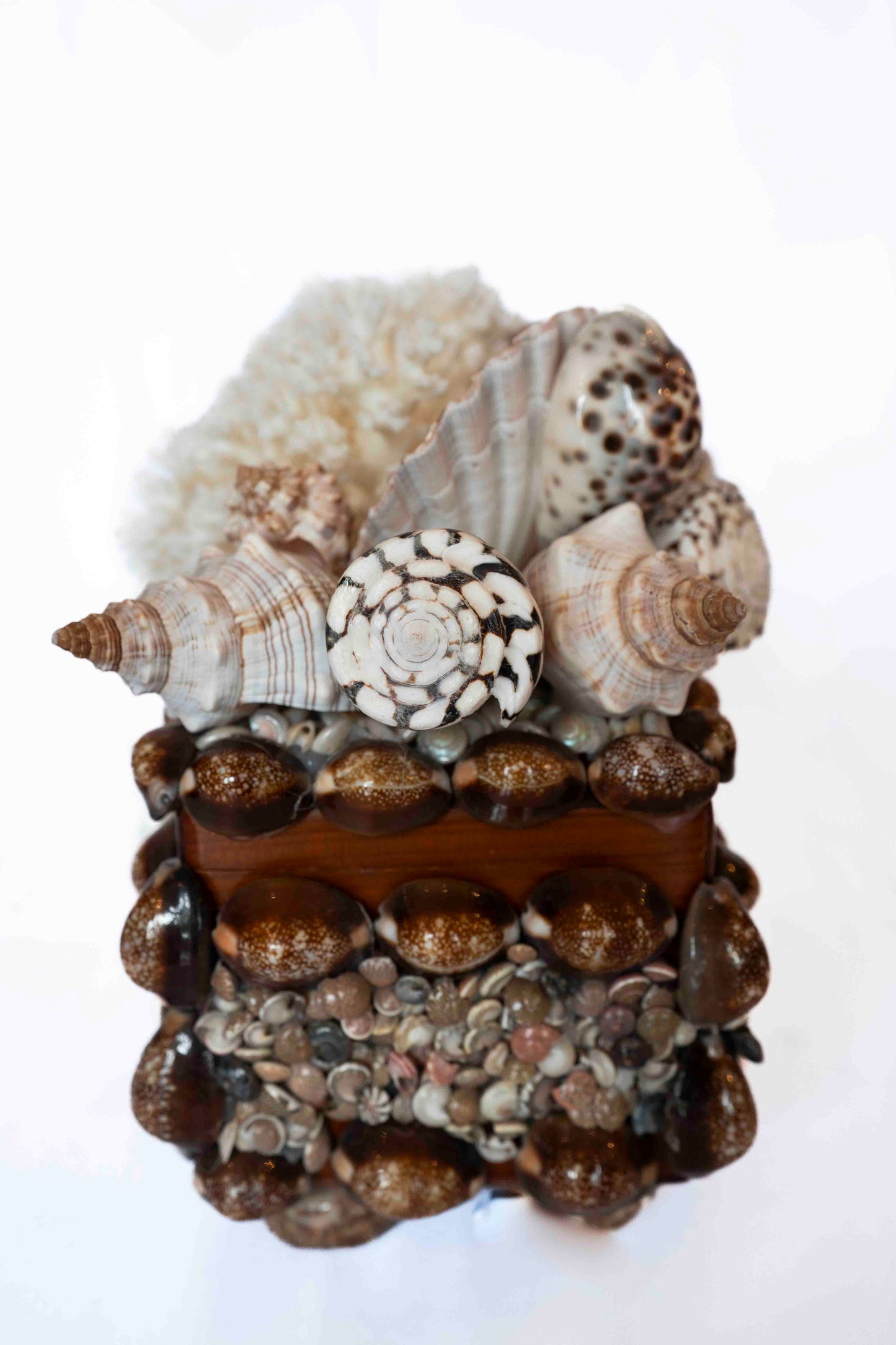 Shell Box Artist Made Small