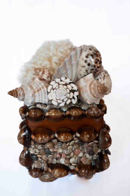 Shell Box Artist Made Small
