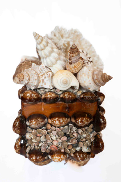 Shell Box Artist Made Small