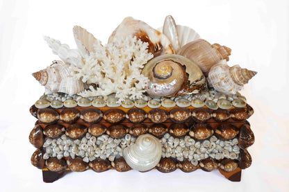 Shell Box Medium