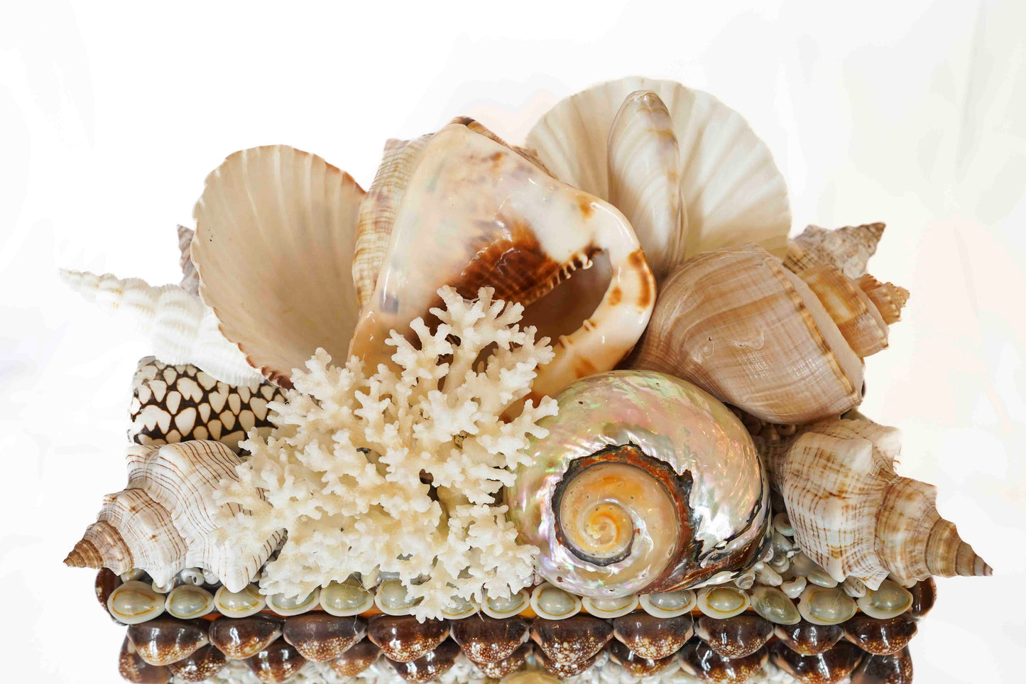 Shell Box Medium