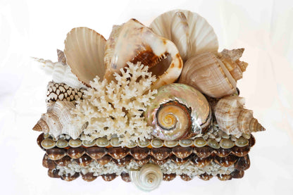 Shell Box Medium
