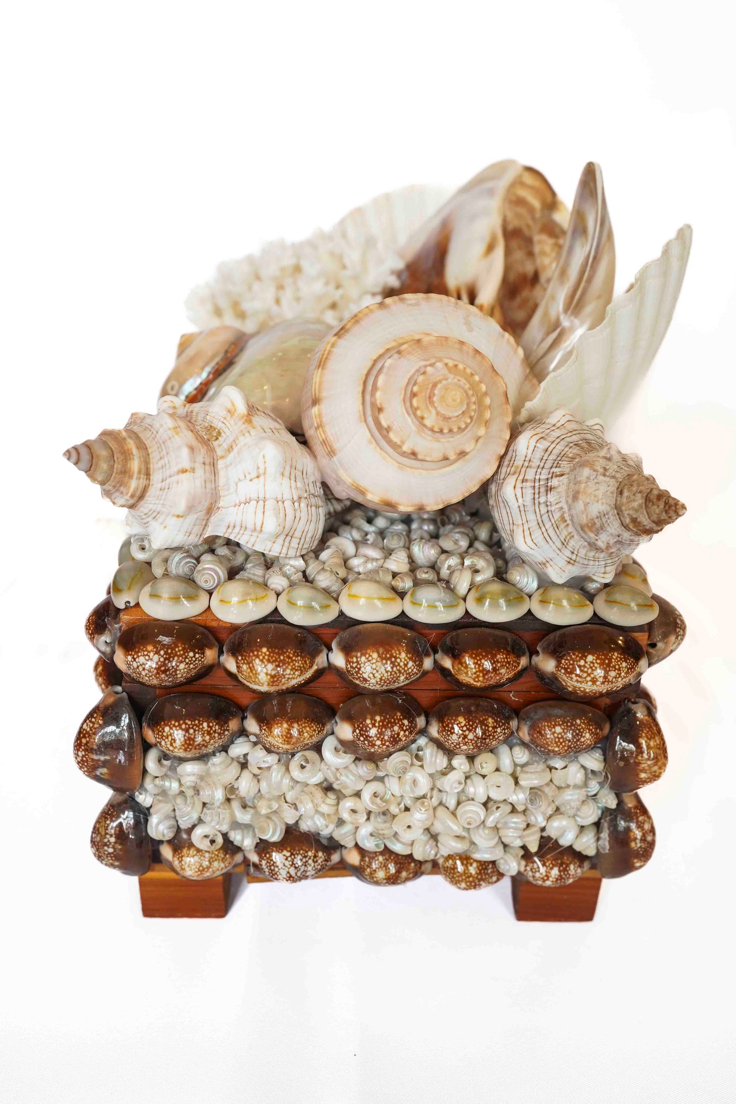 Shell Box Medium