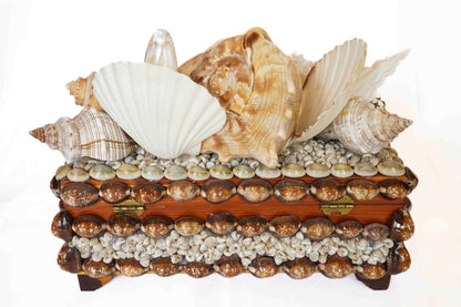 Shell Box Medium