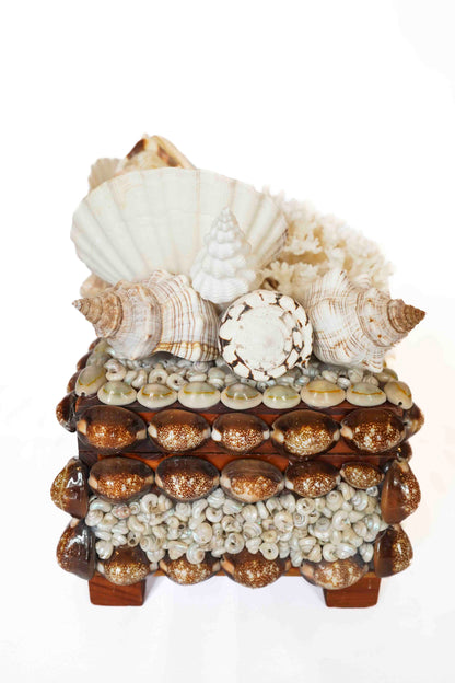 Shell Box Medium