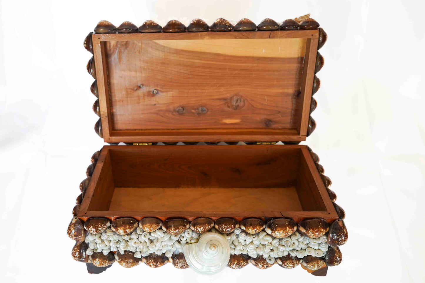 Shell Box Medium