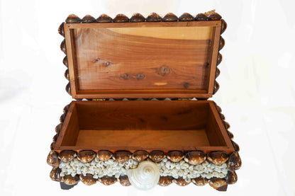 Shell Box Medium