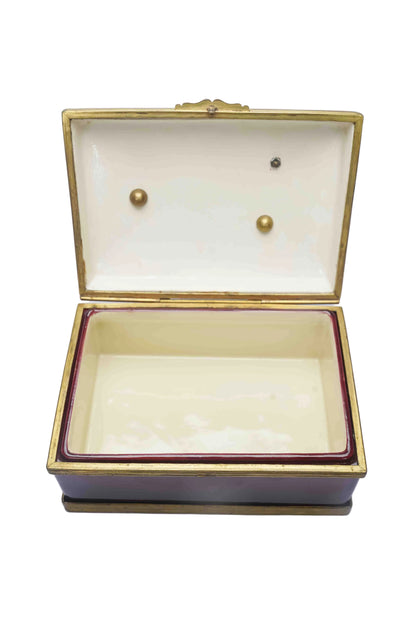 French Sevres Box with Bug
