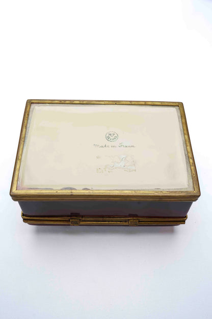 French Sevres Box with Bug