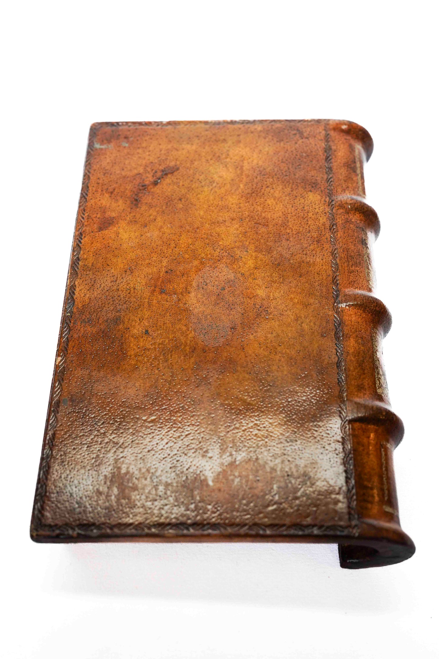 Leather Book Box with Bronze Frog