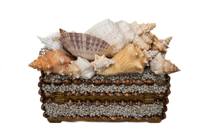 Conch Shell Box Large