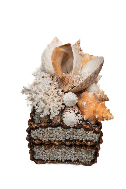 Conch Shell Box Large