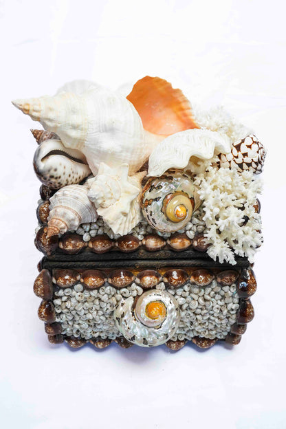 Conch Shell Box Small
