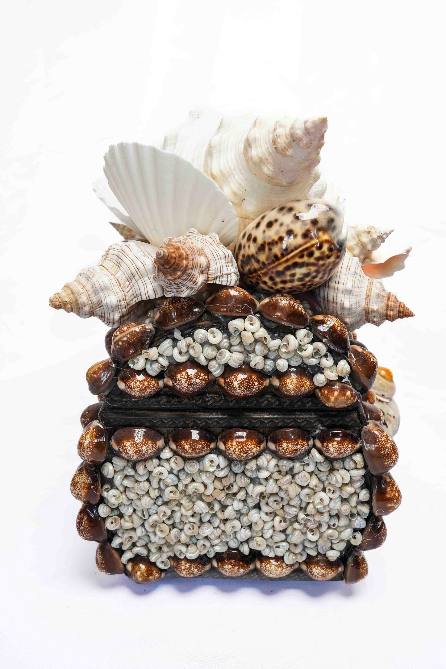 Conch Shell Box Small