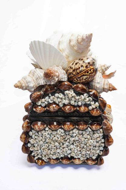 Conch Shell Box Small