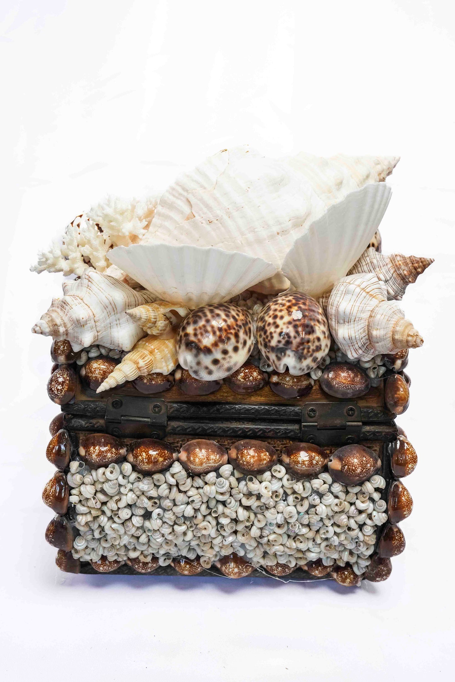 Conch Shell Box Small