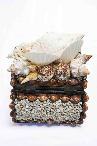 Conch Shell Box Small