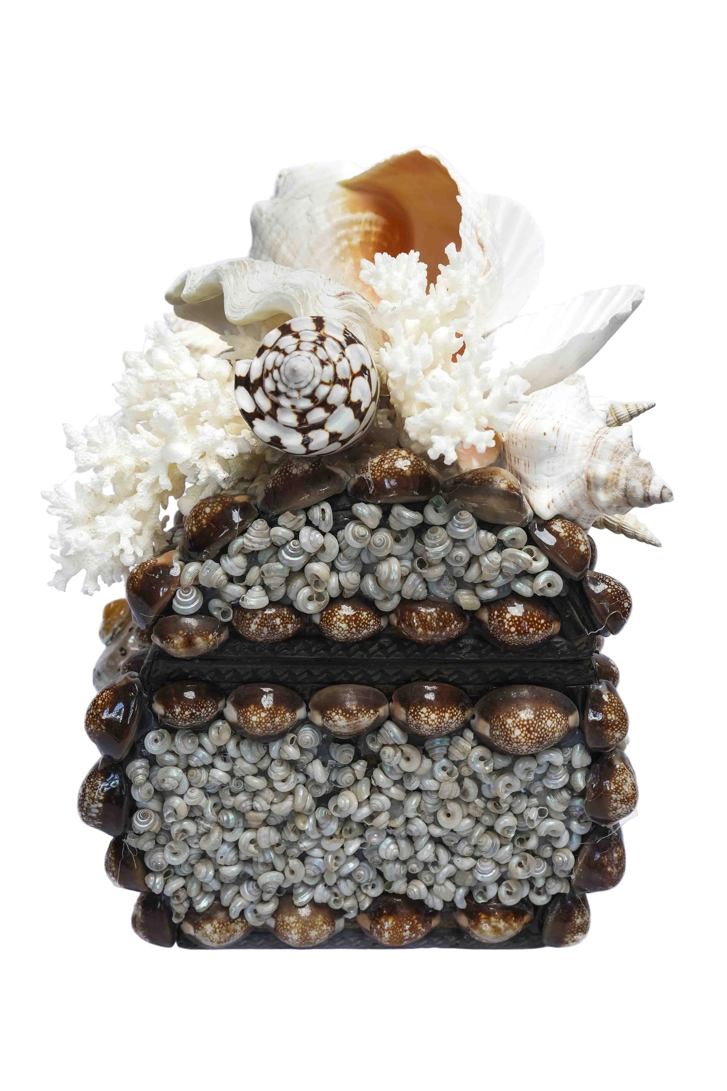 Conch Shell Box Small