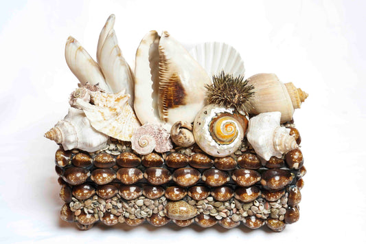 Sea Urchin Shell Box