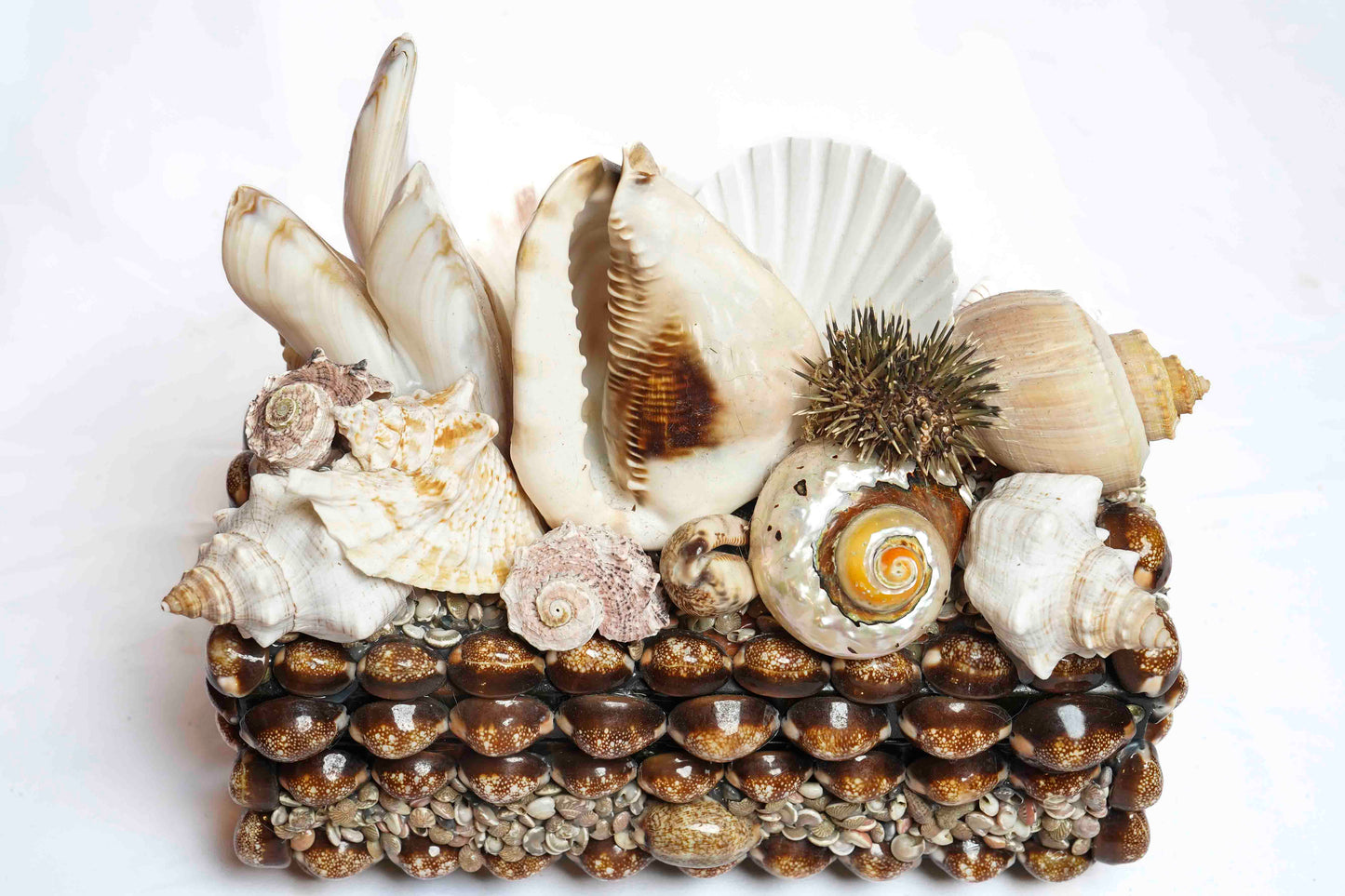 Sea Urchin Shell Box