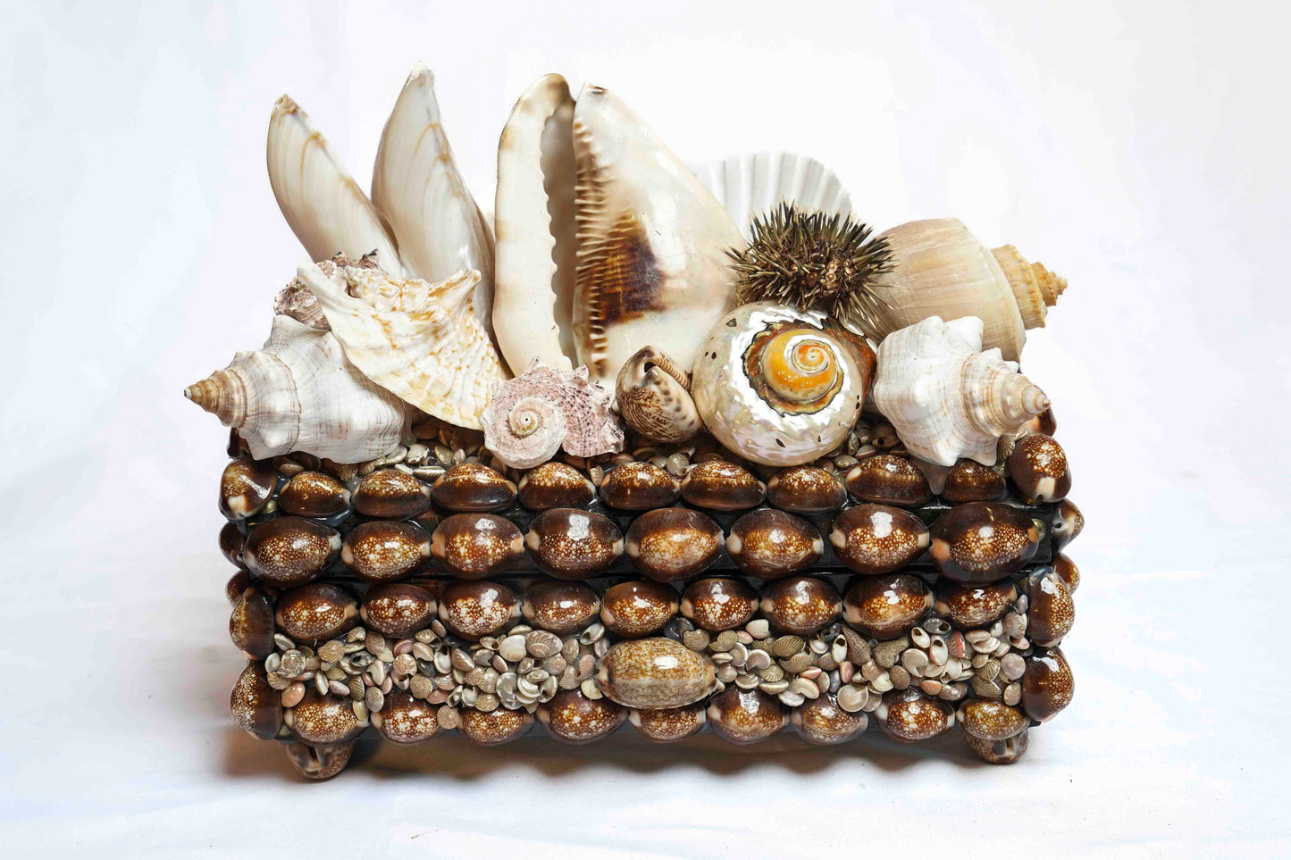 Sea Urchin Shell Box