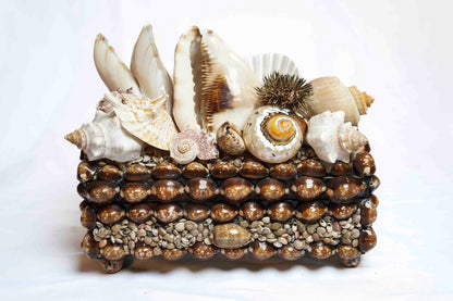 Sea Urchin Shell Box