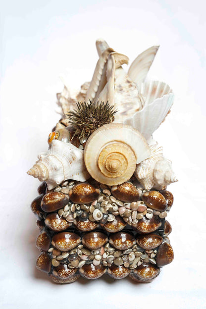 Sea Urchin Shell Box